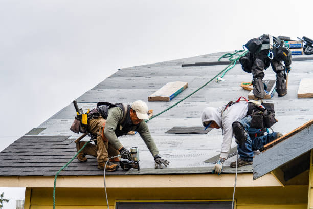 Professional Roofing technician working in Emden, IL